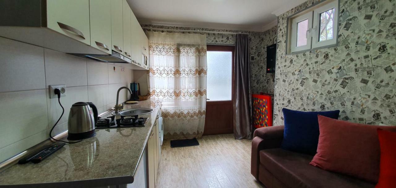 Parkside Apartment 보르조미 외부 사진